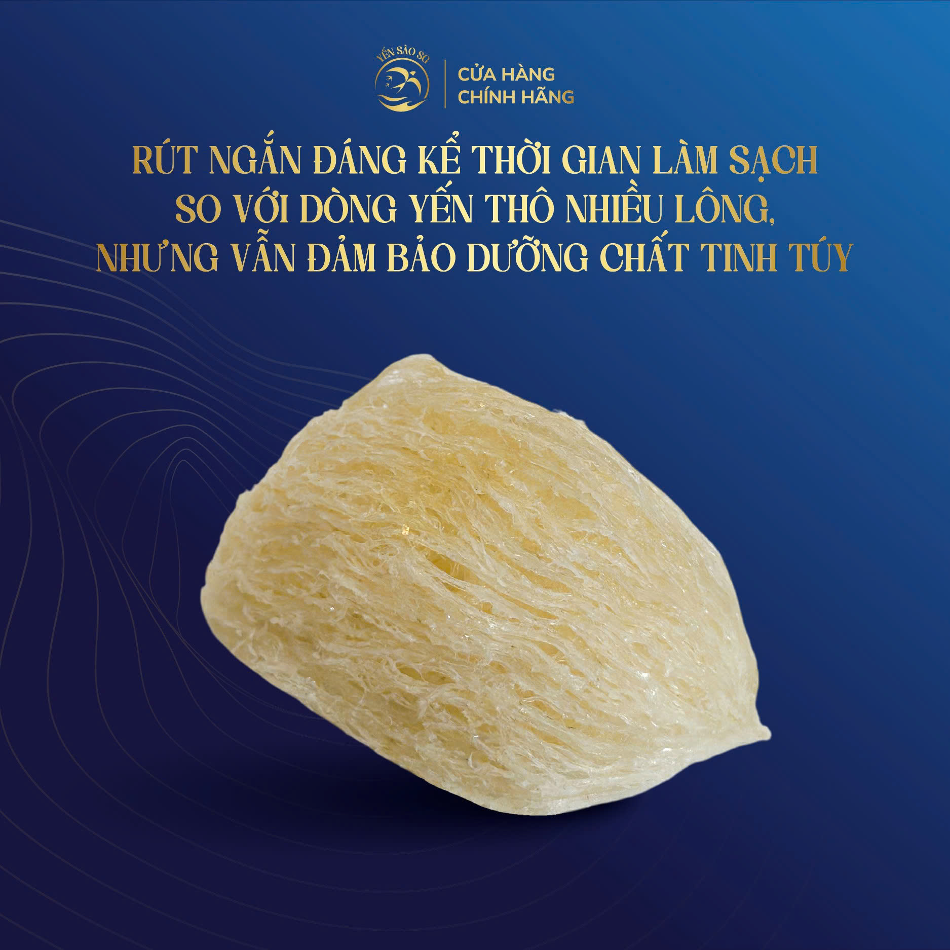 a19533ba8c50010e58418